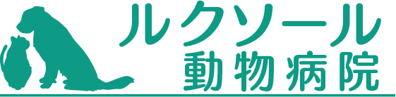 ルクソール動物病院